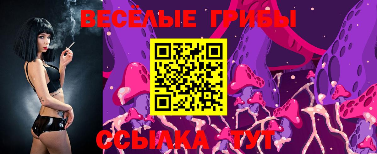 Галлюциногенные грибы Psilocybine cubensis  Вход с VPN  Псилоцибиновые грибы Psilocybine cubensis  Балтийск 
